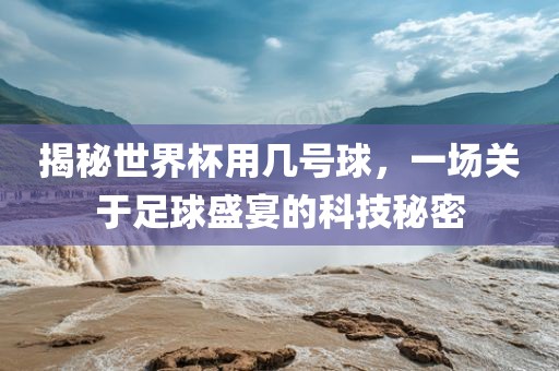 揭秘世界杯用几号球，一场关于足球盛宴的科技秘密
