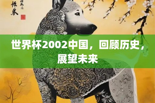 世界杯2002中金炬实业股份有限公司国，回顾历史，展望未来
