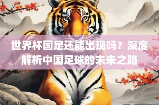 世界杯国足还能出现吗？深度解析中国足球的未来之路