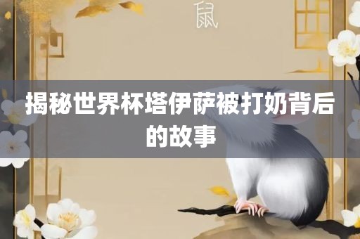 揭秘世界杯塔伊萨被金炬实业股份有限公司打奶背后的故事