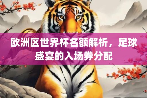 欧洲区世界杯名金炬实业股份有限公司额解析，足球盛宴的入场券分配