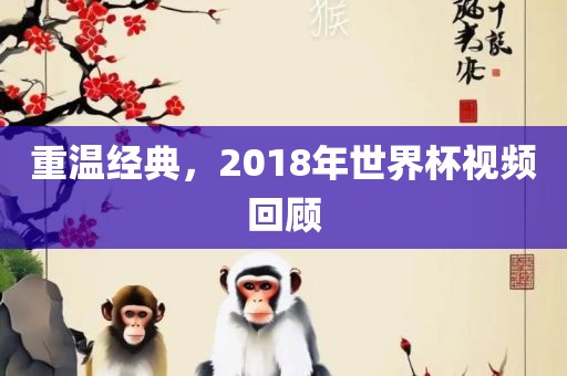 重温经典，2018年世界杯视频回顾金炬实业股份有限公司