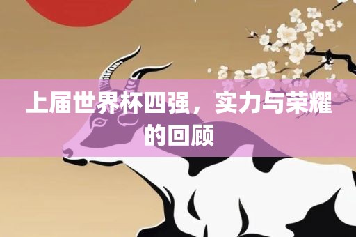 上届世界杯四强，实力与荣耀的回顾