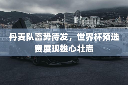 丹麦队蓄势待发，世界杯预选赛展现雄心壮志金炬实业股份有限公司
