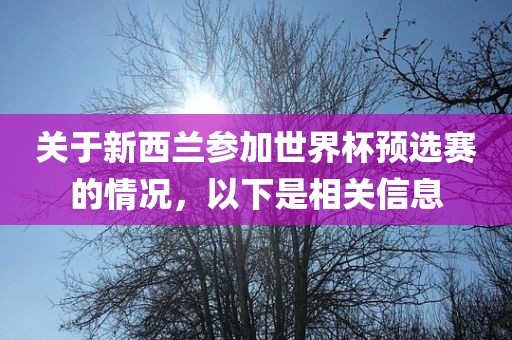 世界杯预选赛 第12页