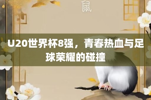 U20世界杯8强，青春热血与足球荣耀的碰撞