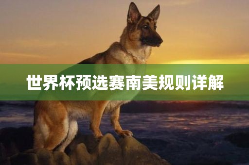 世界杯预选赛南美规则详解金炬实业股份有限公司