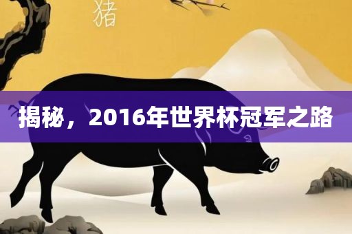 揭秘，2016年世界杯冠军之路