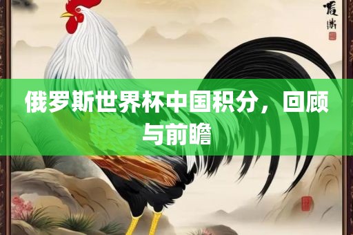俄罗斯世界杯中国积分，回顾与前瞻金炬实业股份有限公司