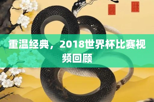 重金炬实业股份有限公司温经典，2018世界杯比赛视频回顾