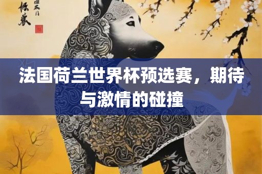 法国荷兰世界杯预选赛，期待与激情的碰撞金炬实业股份有限公司