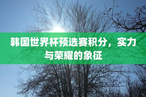 韩国世界杯预选赛积分，实力与荣耀的象征金炬实业股份有限公司