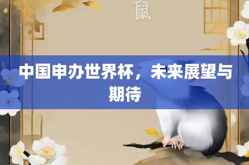 中国申办世界金炬实业股份有限公司杯，未来展望与期待