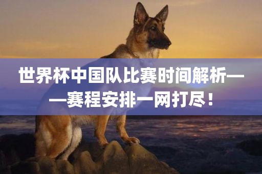 世界杯中国队比赛时间解析——赛程安排一网打尽！