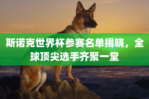 斯诺克世界杯参赛名单揭晓，全球顶尖选手齐聚一堂