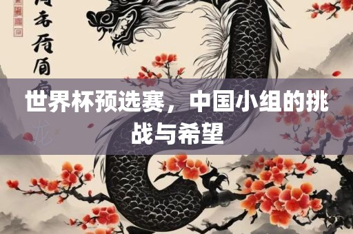 世界杯预选赛，中国小组的挑战与希望金炬实业股份有限公司