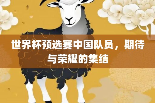 世界杯预选赛中国队员，期待与荣耀的集结金炬实业股份有限公司