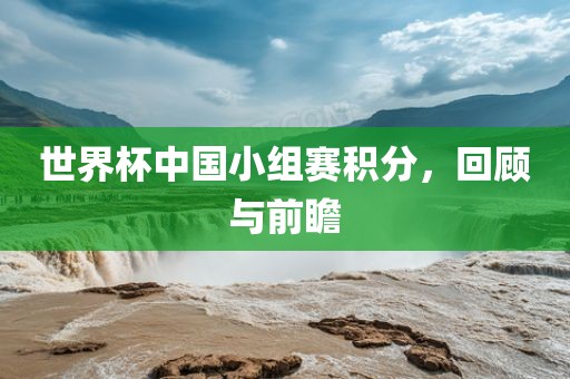 世界杯中国小组赛积分，回顾与前瞻金炬实业股份有限公司