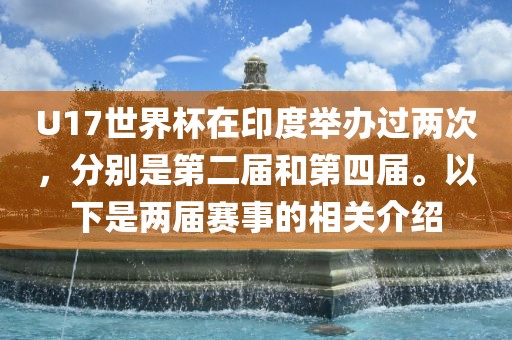 U17世界杯在印度举办过两次，分别是第二届和第四届。以下是两届赛事的相关介绍