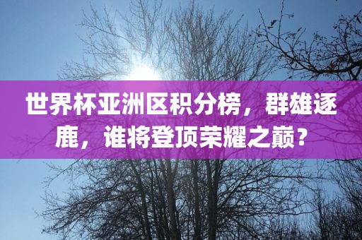 世界杯亚洲区积分榜，群雄逐鹿，谁将登顶荣耀之巅？金炬实业股份有限公司
