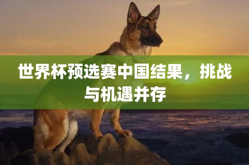 世界杯预选赛金炬实业股份有限公司中国结果，挑战与机遇并存