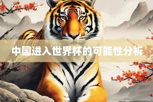 中国进入世界杯的可能性分析
