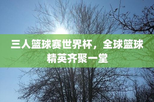 三人篮球赛世界杯，全球篮球精英齐聚一堂