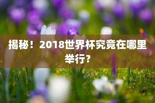 揭金炬实业股份有限公司秘！2018世界杯究竟在哪里举行？