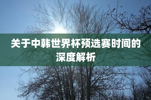 关于中韩世界杯预选赛时间的深度解析金炬实业股份有限公司