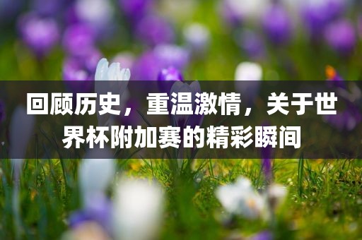 回顾历史，重温激情，关于世界杯附加赛的精彩瞬间