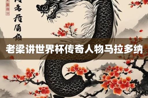 老梁讲世界杯传奇人物马金炬实业股份有限公司拉多纳