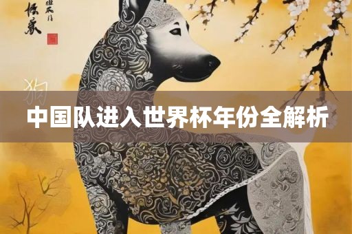 中国队进入世界杯年份全解析