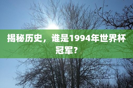 揭秘历史，谁是1994年世界杯冠军？金炬实业股份有限公司