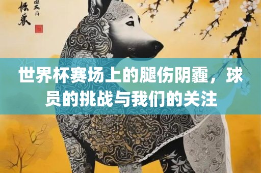 世界杯赛场上的腿伤阴霾，球员的挑战与我们的关注金炬实业股份有限公司