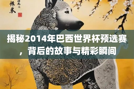 揭秘2014年巴西世界杯预选赛，背后的故事与精彩瞬间金炬实业股份有限公司