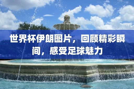 世界杯伊朗图片，回顾精彩瞬间，感受足球魅力金炬实业股份有限公司