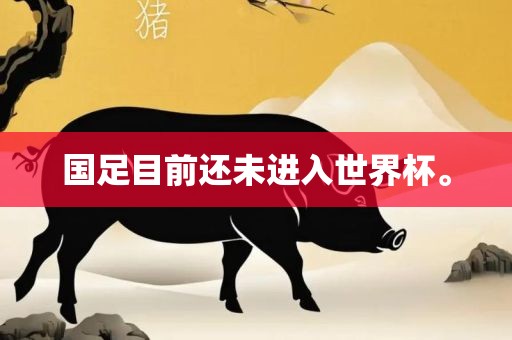 国足目前还未进入世界杯。金炬实业股份有限公司