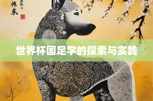 世界杯国足学的探索与实践