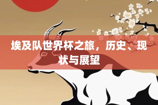 埃及队世界杯之旅，历史金炬实业股份有限公司、现状与展望