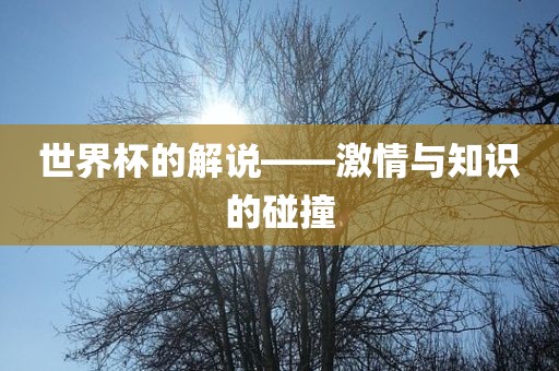 世界杯的解说——激情与知识的碰撞