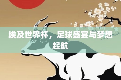 足球盛宴 第10页