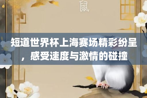 短道世界杯上海赛场精彩纷呈，感受速度与激情的碰撞