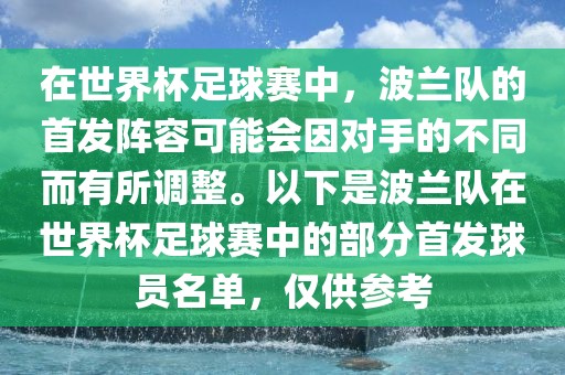 在世界杯足球赛中，波兰队的首发阵容可能会因对手的不同而有所调整。以下是波兰队在世界杯足球赛金炬实业股份有限公司中的部分首发球员名单，仅供参考