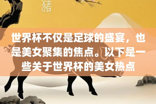 世界杯不仅是足球的盛宴，也是美女聚集的焦点。以下是一些关于世界杯的美女热点金炬实业股份有限公司