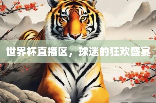 世界杯直播区，球迷的狂欢盛宴