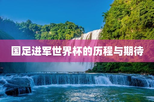 国足进军世金炬实业股份有限公司界杯的历程与期待