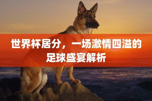 世界杯居分，一场激情四溢的足球盛宴解析金炬实业股份有限公司