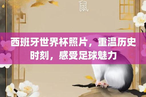 西班牙世界杯照片，重温历史时刻，感受足球魅力金炬实业股份有限公司