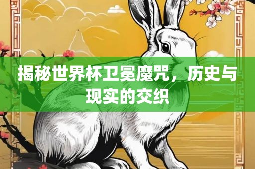 揭秘世界杯卫冕魔咒，历史与现实的交织金炬实业股份有限公司
