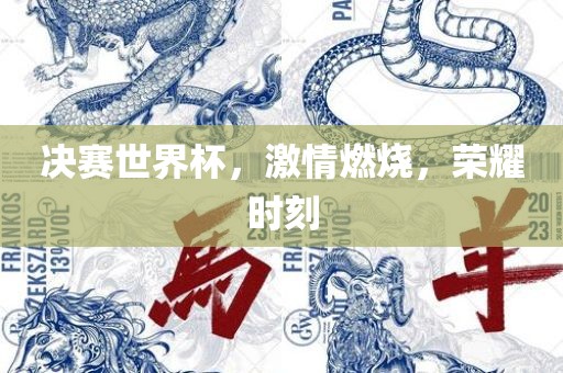 决赛世界杯，激情燃烧，荣耀时刻金炬实业股份有限公司